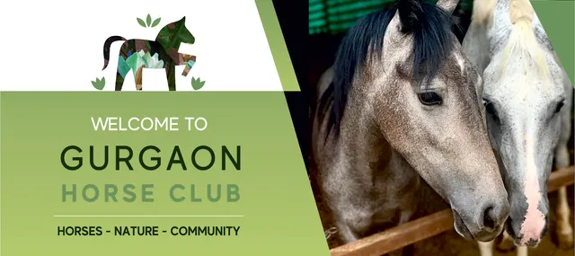Gurgaon Horse Club — Horse Riding in Balola