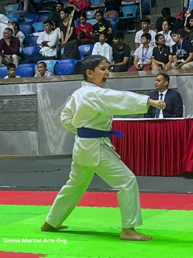 Simna Martial Arts Organization Dabri — Martial Arts in Dabri