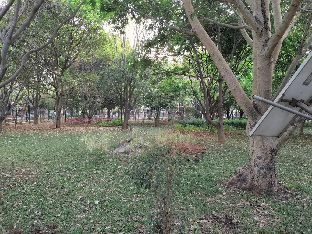 Basketball Court — Basketball in Yelahanka New Town