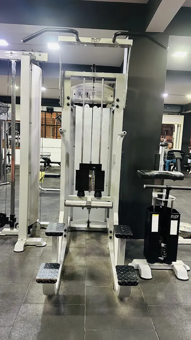 Muscles & Fitness Gym