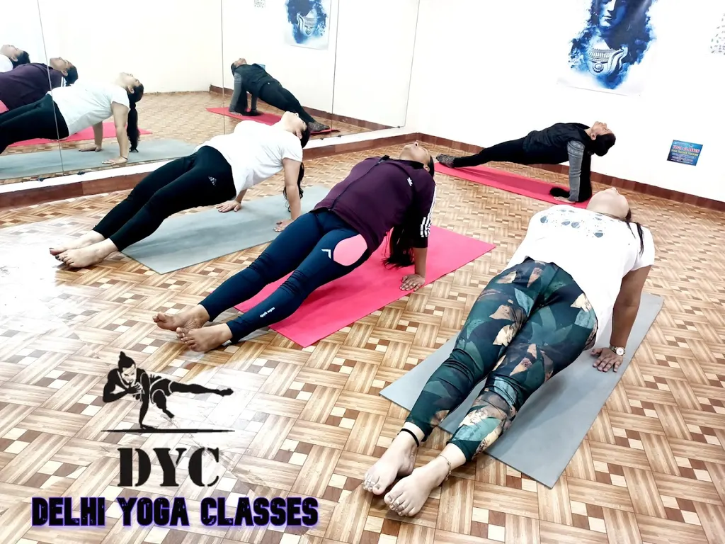 Delhi Yoga Classes Rohini — Yoga in Rohini