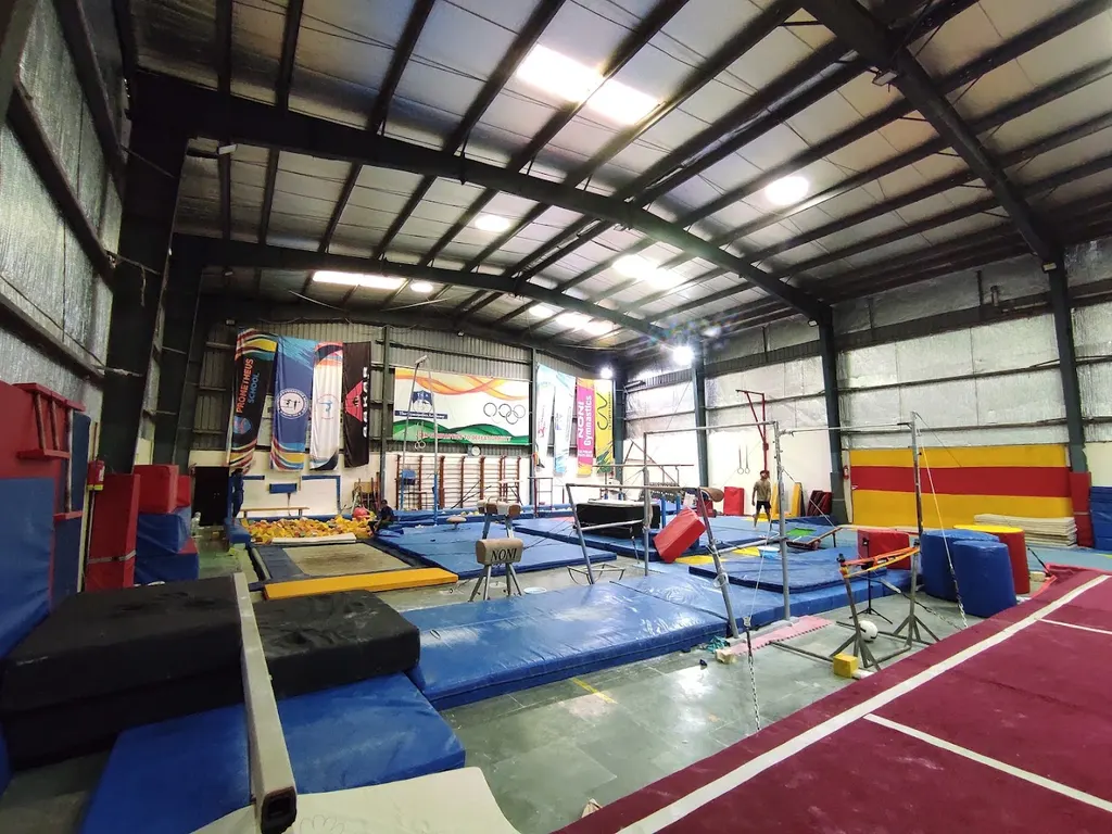 The Gymnastics Academy — Gymnastics in Dwarka