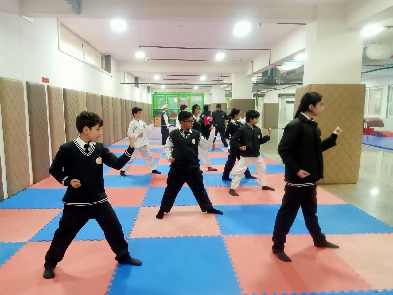 Emanuel Taekwondo Club — Martial Arts in Vasant Vihar, Delhi