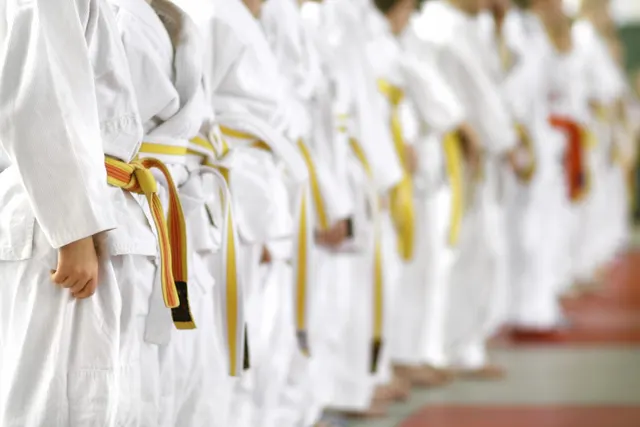 BTM KARATE CLASSES (Branch of Infinity Martial Arts Sports Academy India) — Martial Arts in BTM 1st Stage
