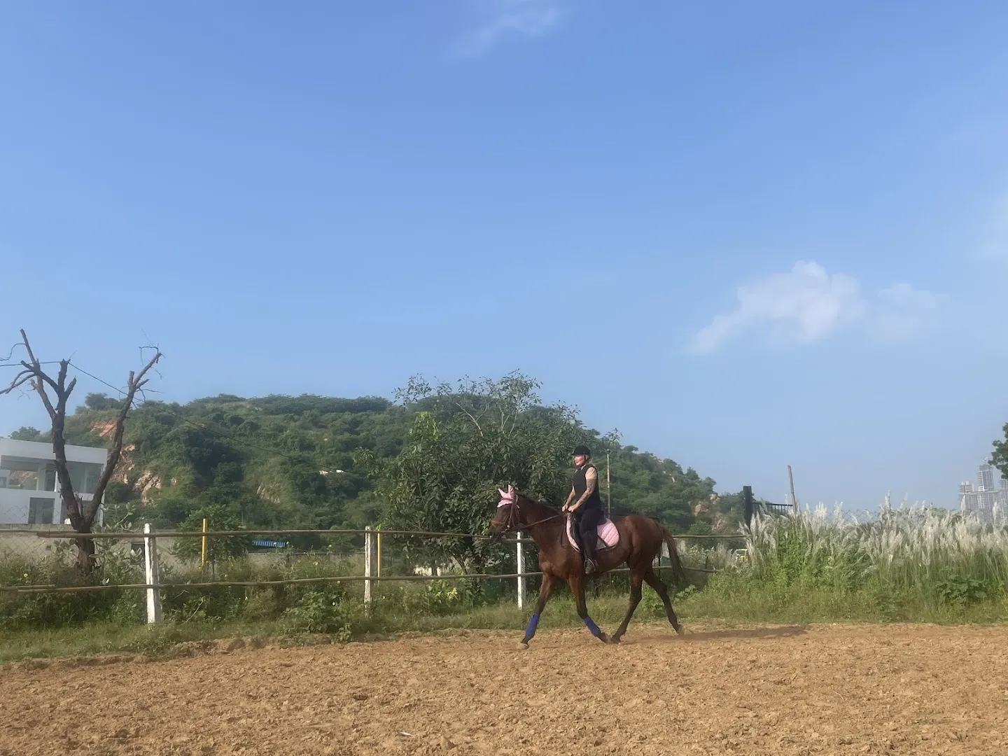 ACS Horse Riding Club photo 1