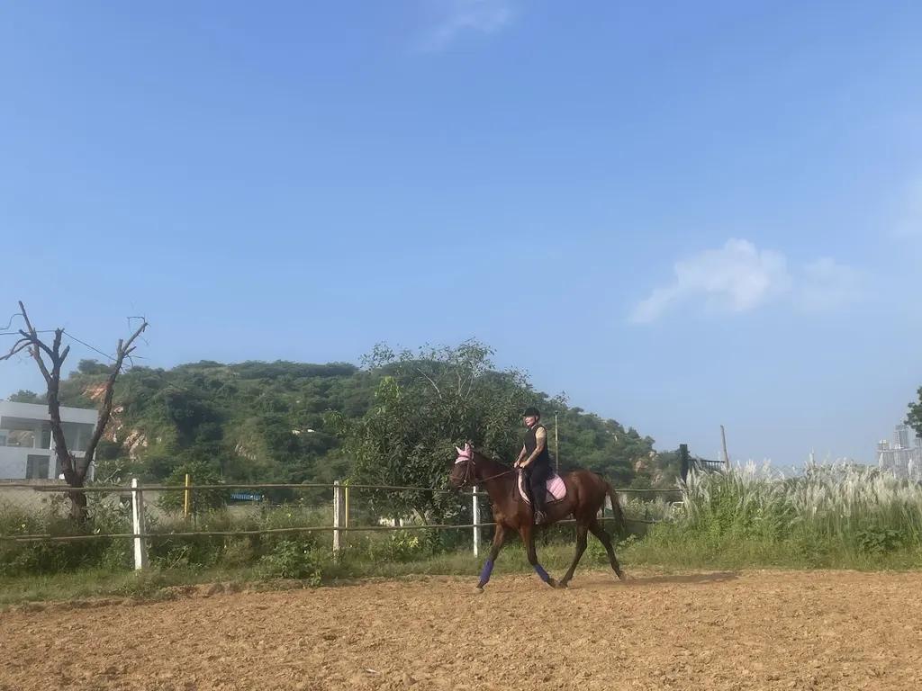 ACS Horse Riding Club — Horse Riding in New Gurugram