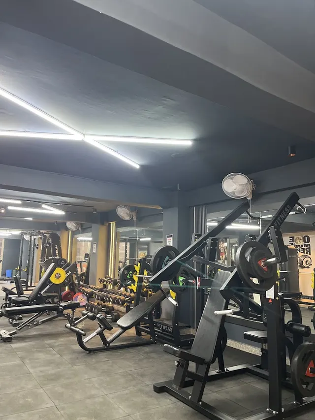 The Gymfreaks