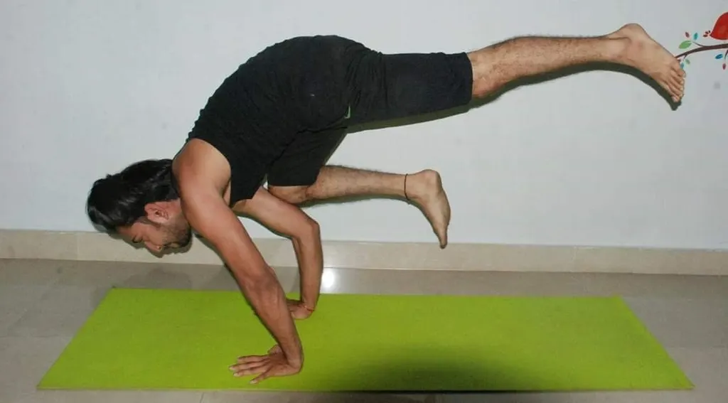 Rishi Yoga Clsses for Home Lessons (Not a Center) — Yoga in Rohini