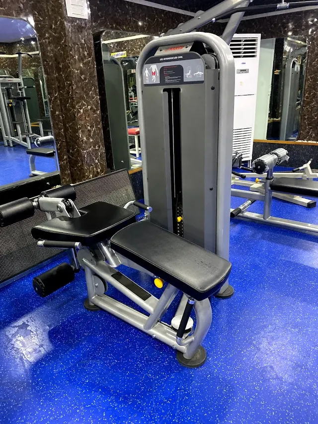 The Fitness Gym