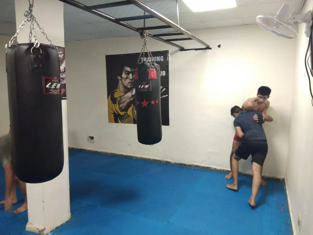 Training Dayz MMA club — Martial Arts in Sector 9
