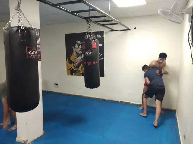 Training Dayz MMA club — Martial Arts in Sector 9