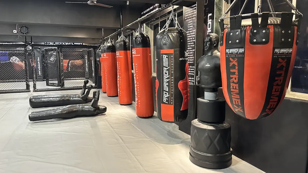 Pro Warrior MMA Chembur — Martial Arts in Chembur