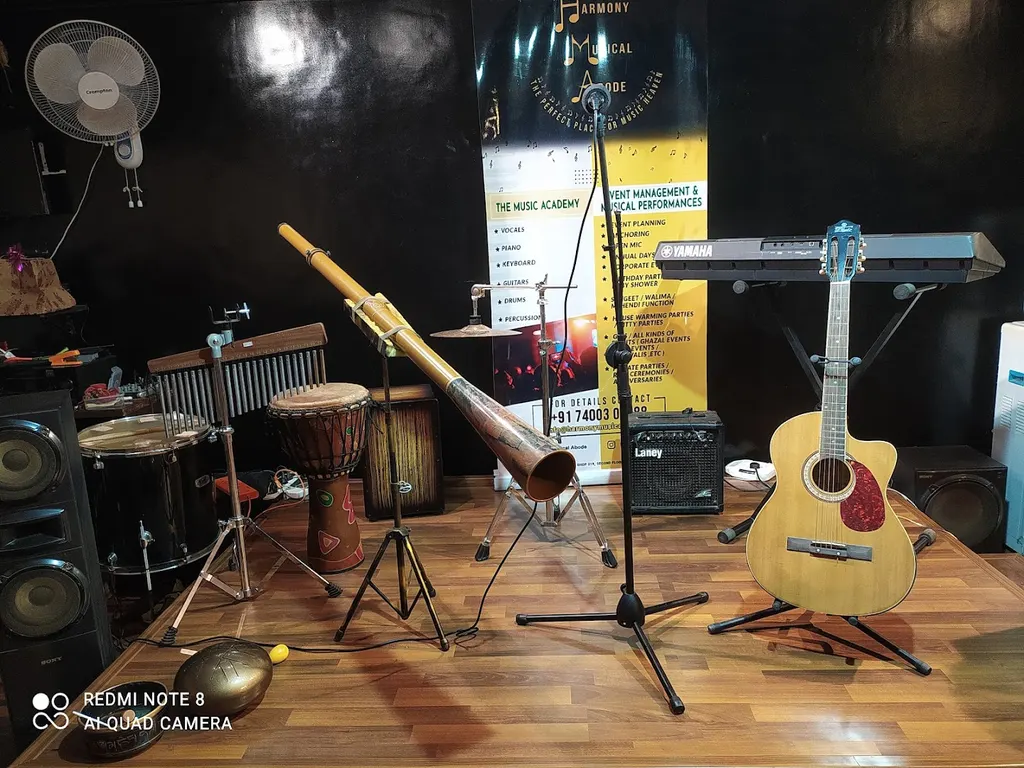 Harmony Musical Abode — Music in Vashi