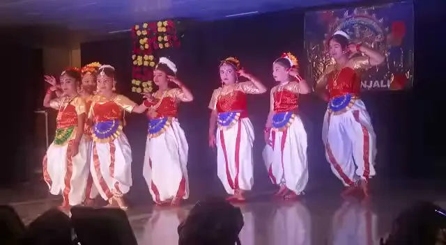 Natranjali Academy — Dance in Mahavir Enclave I South, Delhi