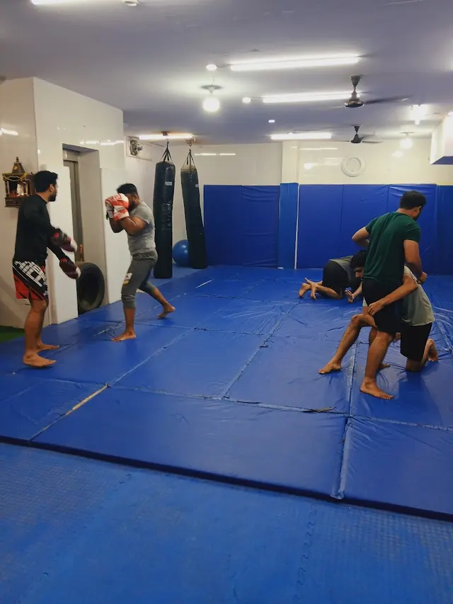 unity combat mma — Martial Arts in Sector 24