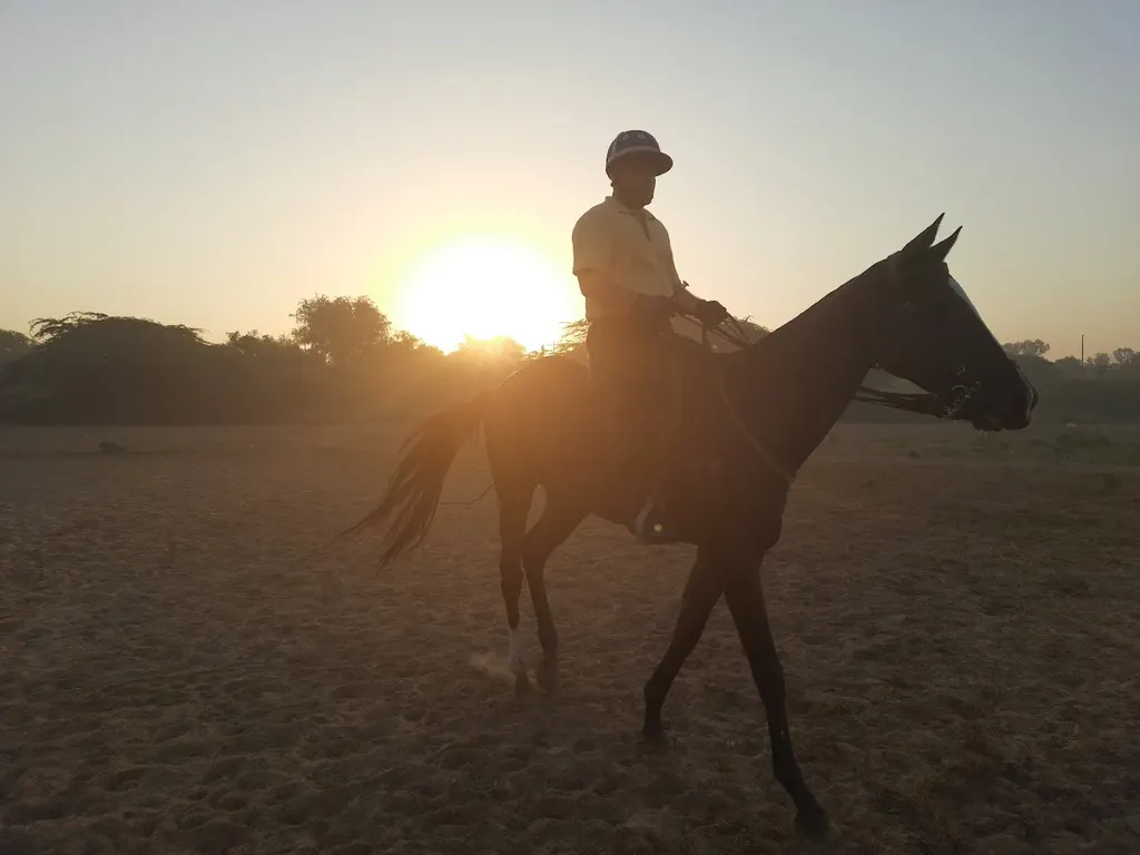 Aspen Riding & Polo Academy — Horse Riding in Dwarka