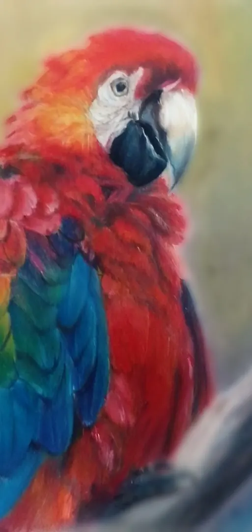 Think through colours - Drawing class photo 1