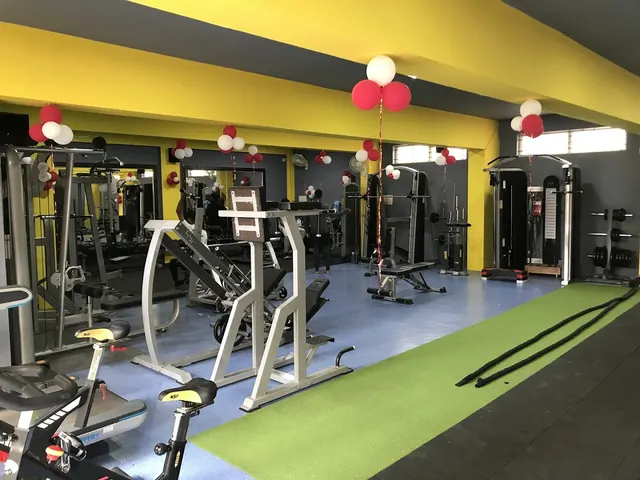 KM3 Platinum Fitness