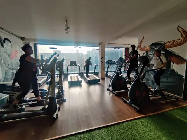 Gymnastik The Gym