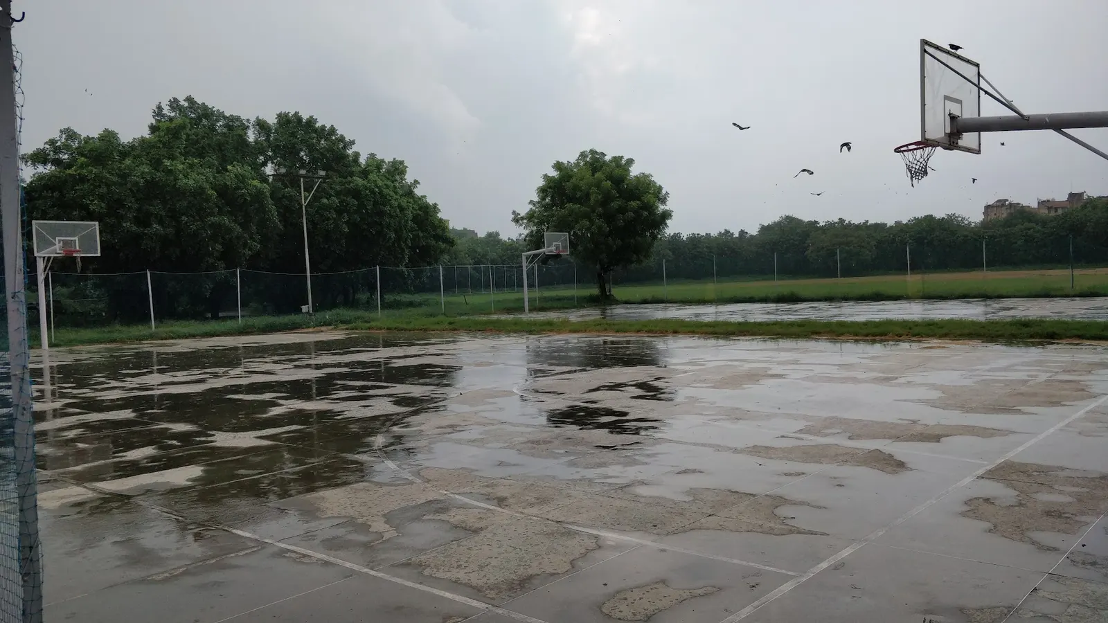 Basketball Courts photo 1