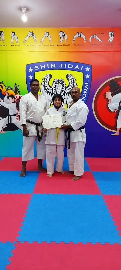 Shinjidai Sports Academy RT Nagar — Martial Arts in Ganganagar
