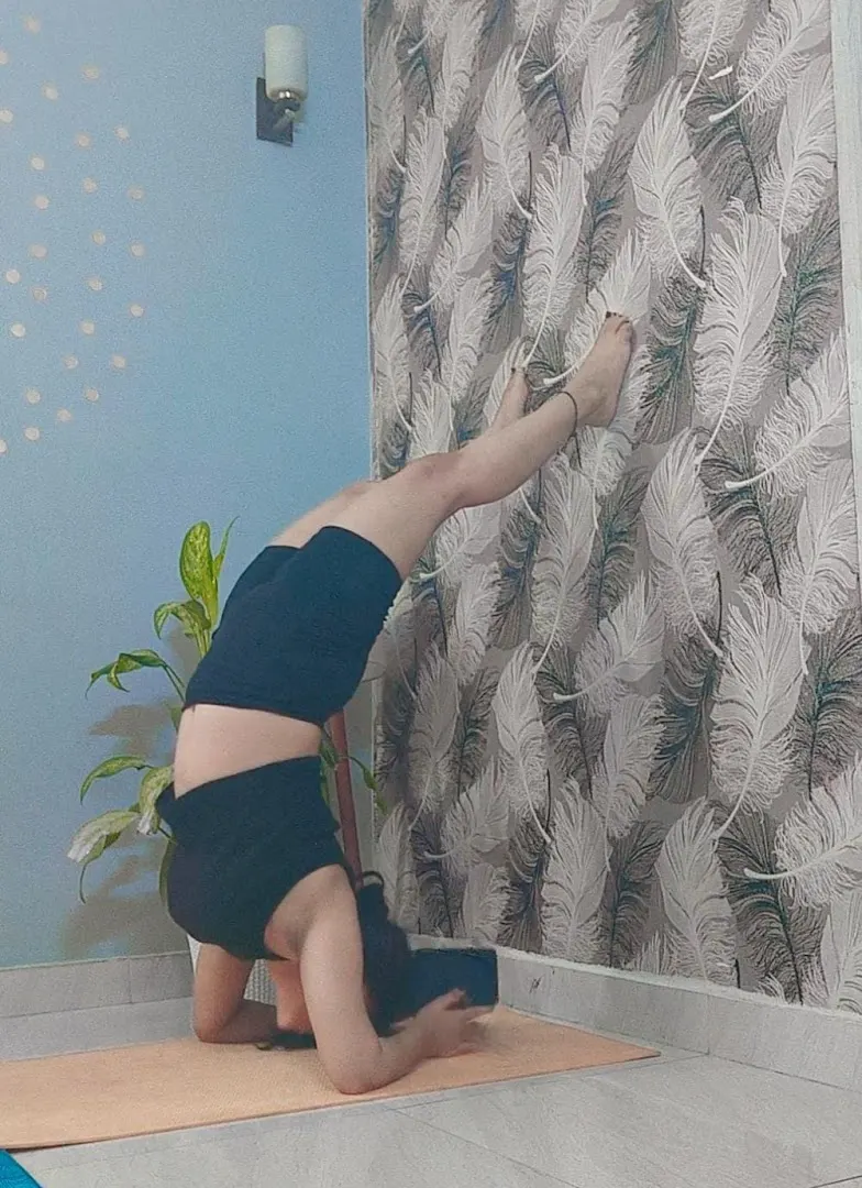 Yoga for everyone — Yoga in Sector 109