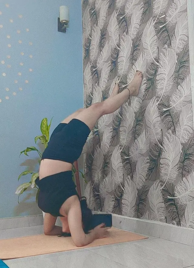Yoga for everyone — Yoga in Sector 109