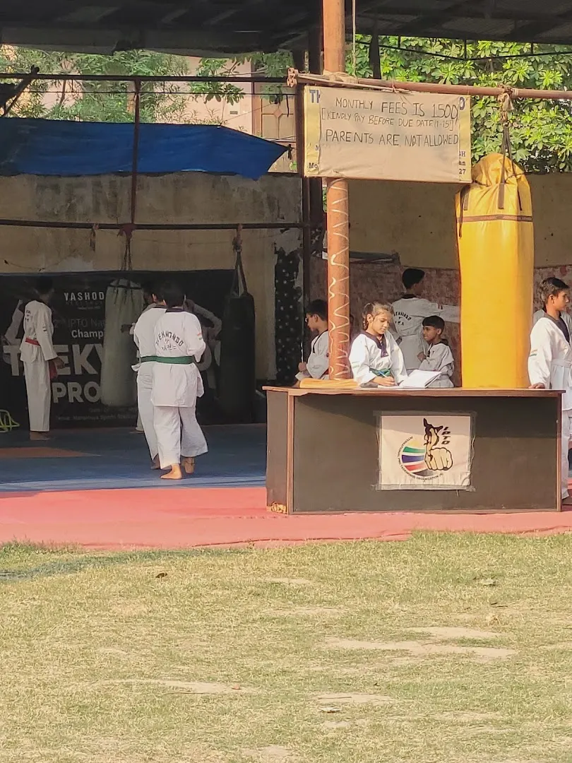 The School of Taekwondo — Martial Arts in Daulatpura