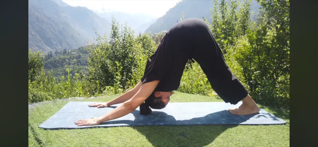 Moksha Yoga Studio by Jyoti Bhalla — Yoga in Sector 11