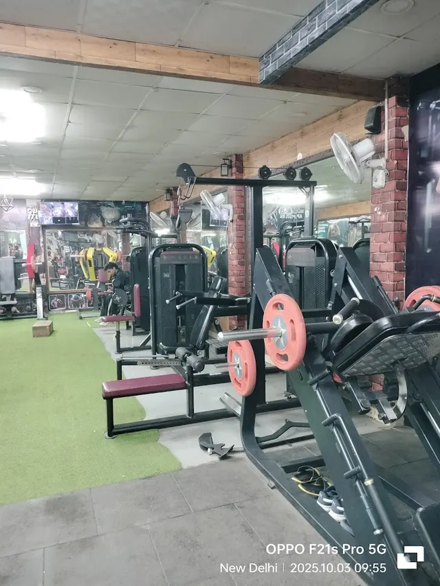 Muscular Aptitude Gym