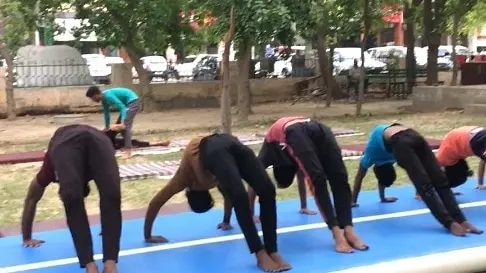 Faridabad gymnastic — Gymnastics in Sector 14