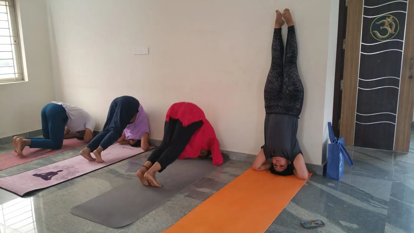 Samskruti Sadhana — Yoga in Whitefield, Bengaluru
