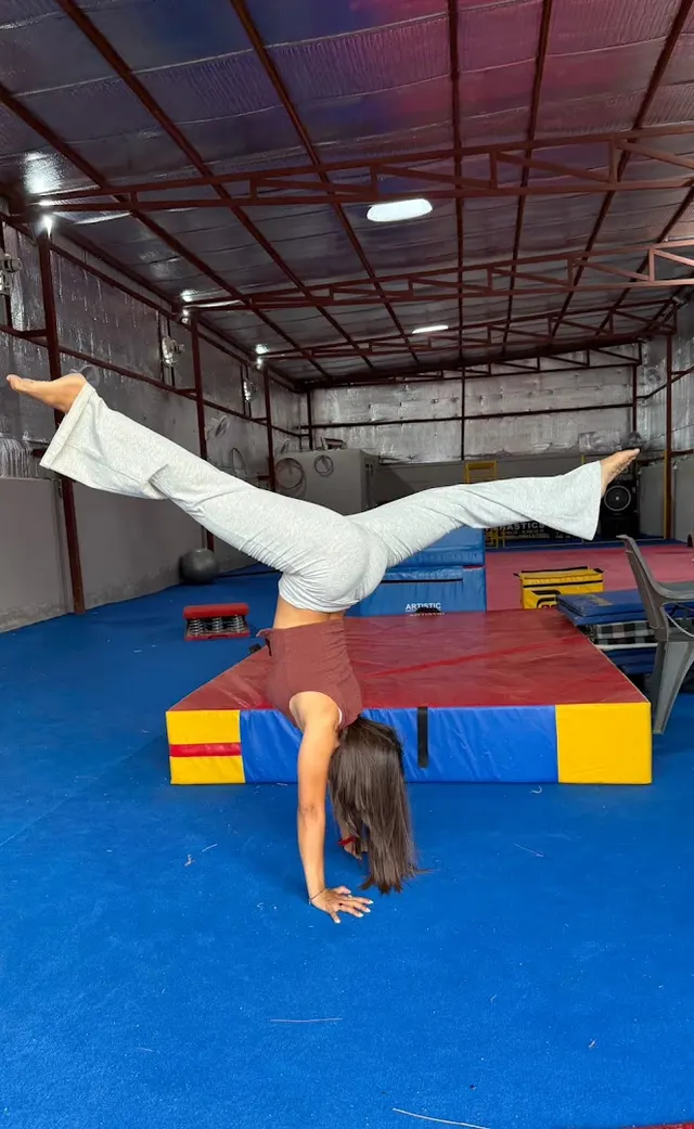 Dream Fit Gymnastics — Gymnastics in Sector 68