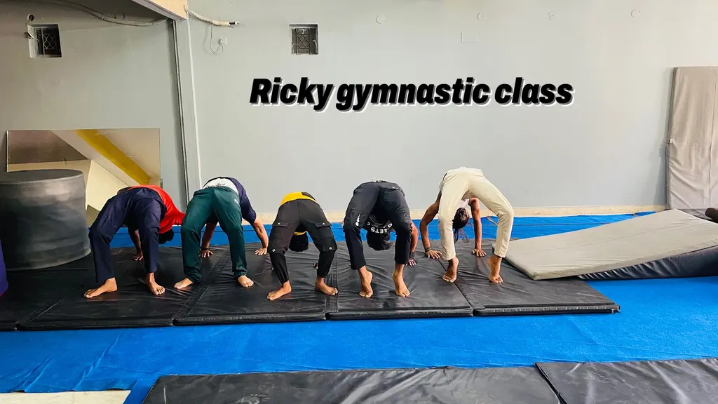 Fly Flipper Academy — Gymnastics in Laxmi Nagar