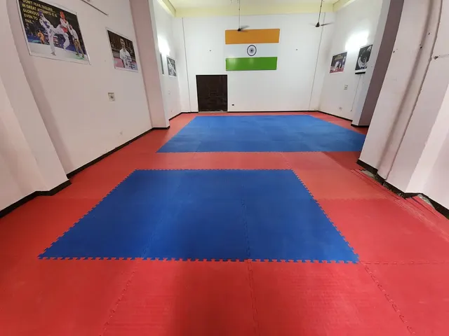 Realistic World Taekwondo School II — Martial Arts in Najafgarh