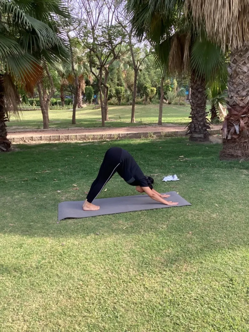 Yoga by SKMYOGA — Yoga in Sector 33