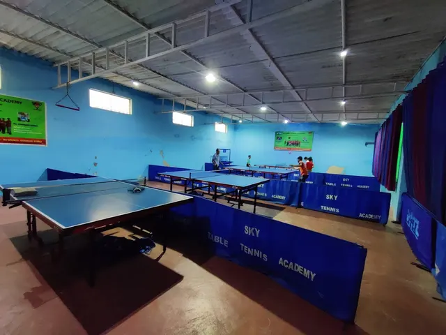 Sky Table Tennis Academy — Table Tennis in Nehru Nagar