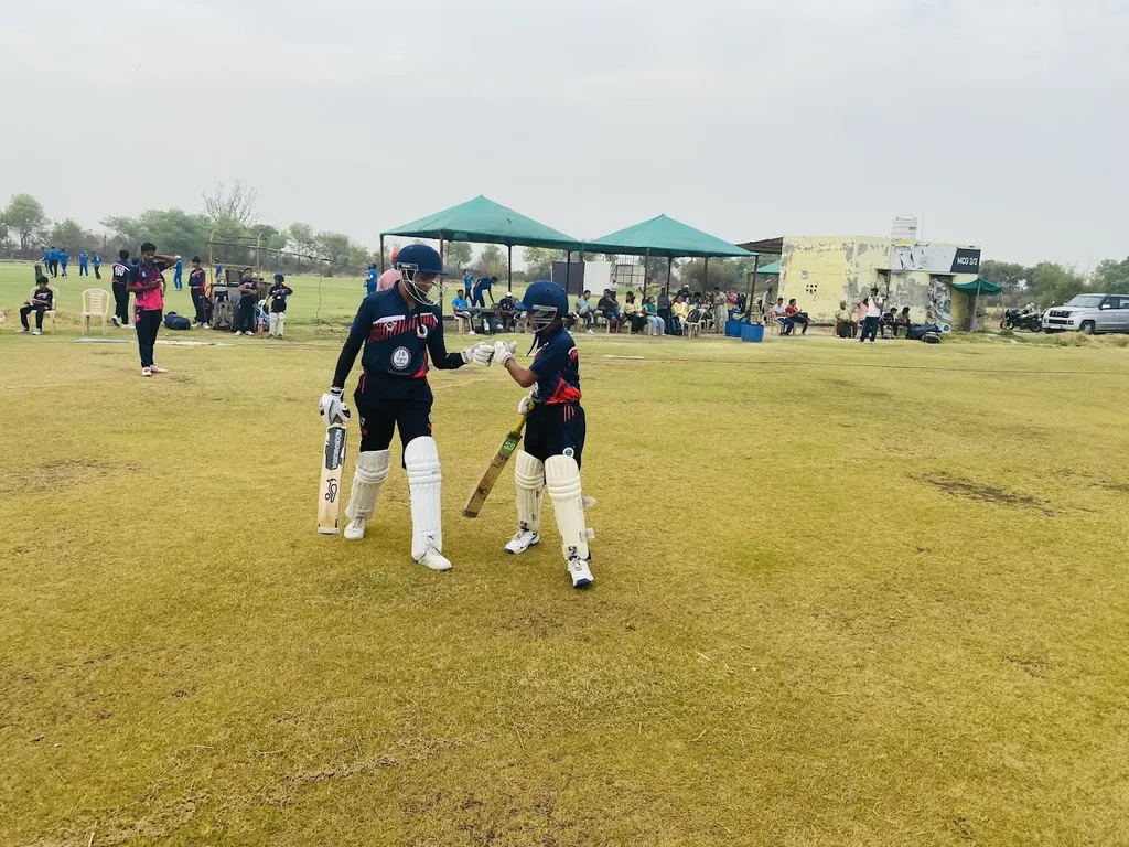DLCL India Head Office — Cricket in Area