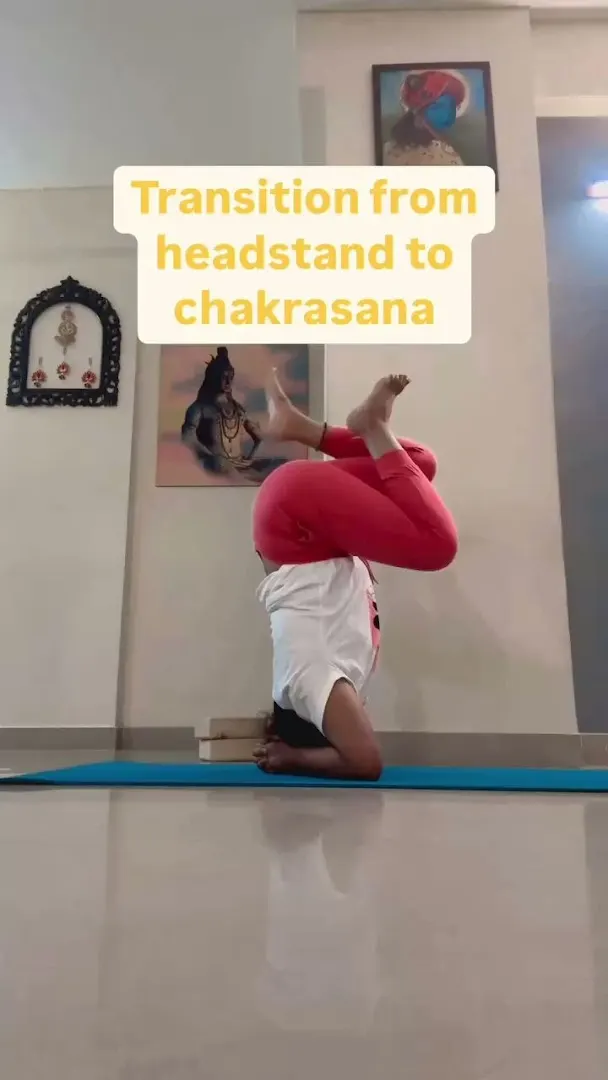 Attma Shuddhi Yoga & Fitness — Yoga in Sector 88