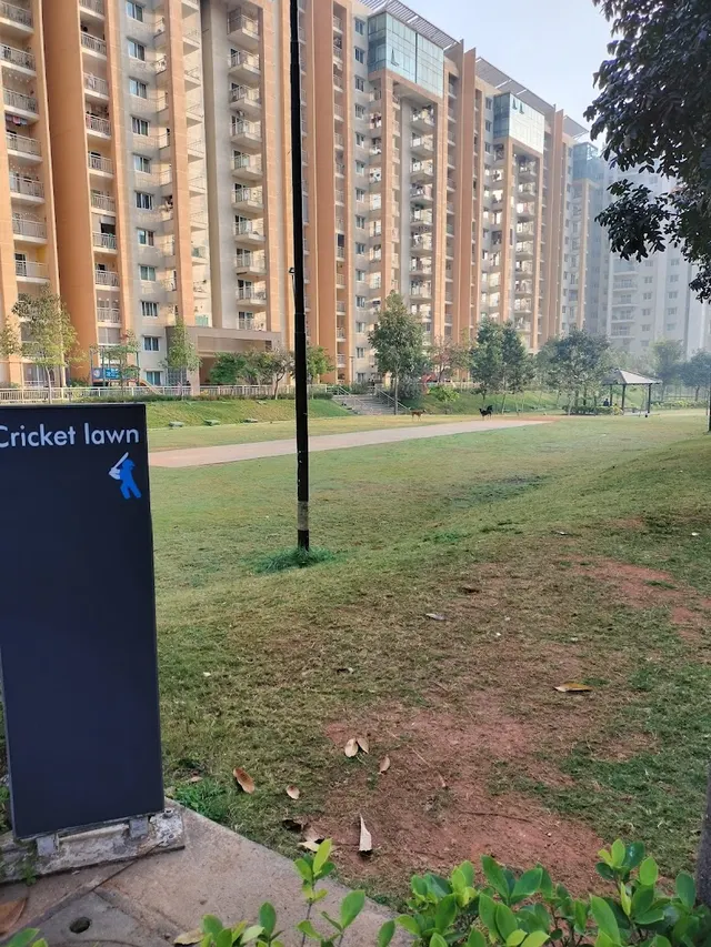 BLF Cricket Lawn — Cricket in Mahadevapura
