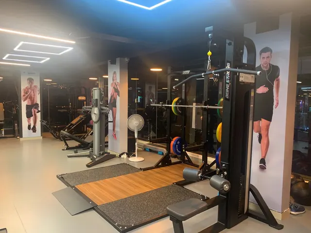 The Abs Fitness