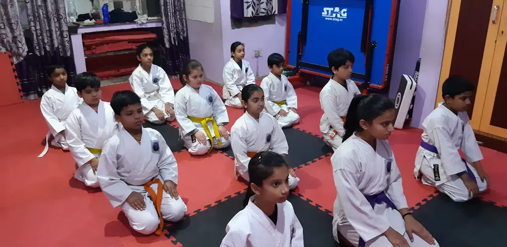 Biomech Table Tennis and Karate Academy — Tennis in Old Delhi