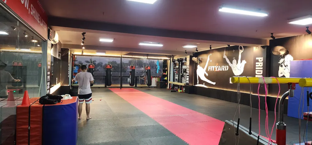Delhi Combat & Gymnastics Academy — Martial Arts in Rohini