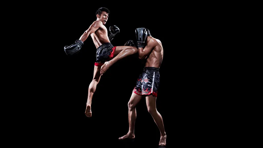 Vishal kickboxing & fitness Academy. — Martial Arts in Santacruz East