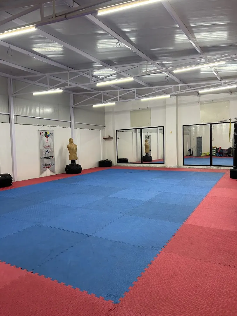 99 Martial Arts Hub — Martial Arts in Sector 82
