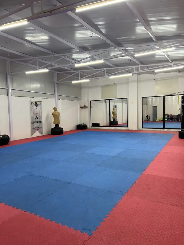 99 Martial Arts Hub — Martial Arts in Sector 82