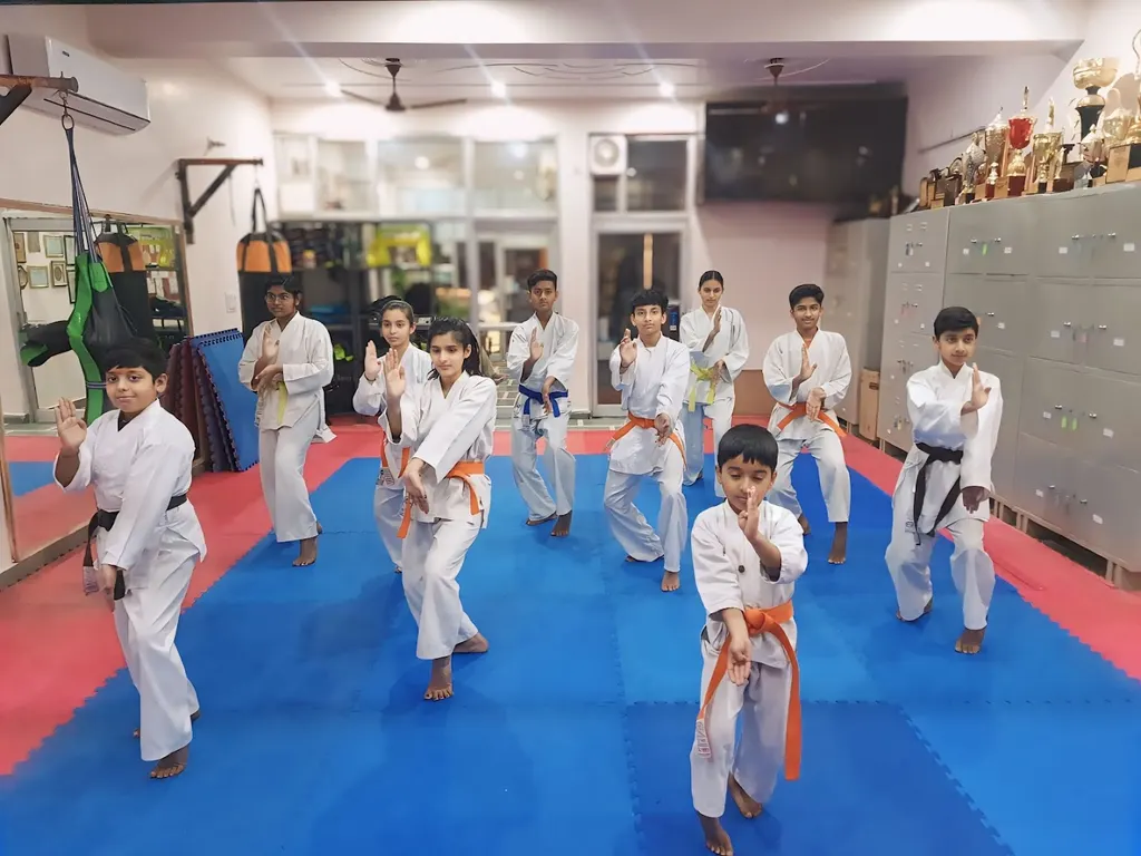 Karate And Fitness Planet Budh Vihar — Martial Arts in Budh Vihar