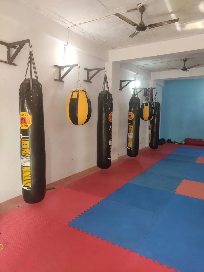 Orthodox MMA Academy — Martial Arts in Mubarakpur Dabas