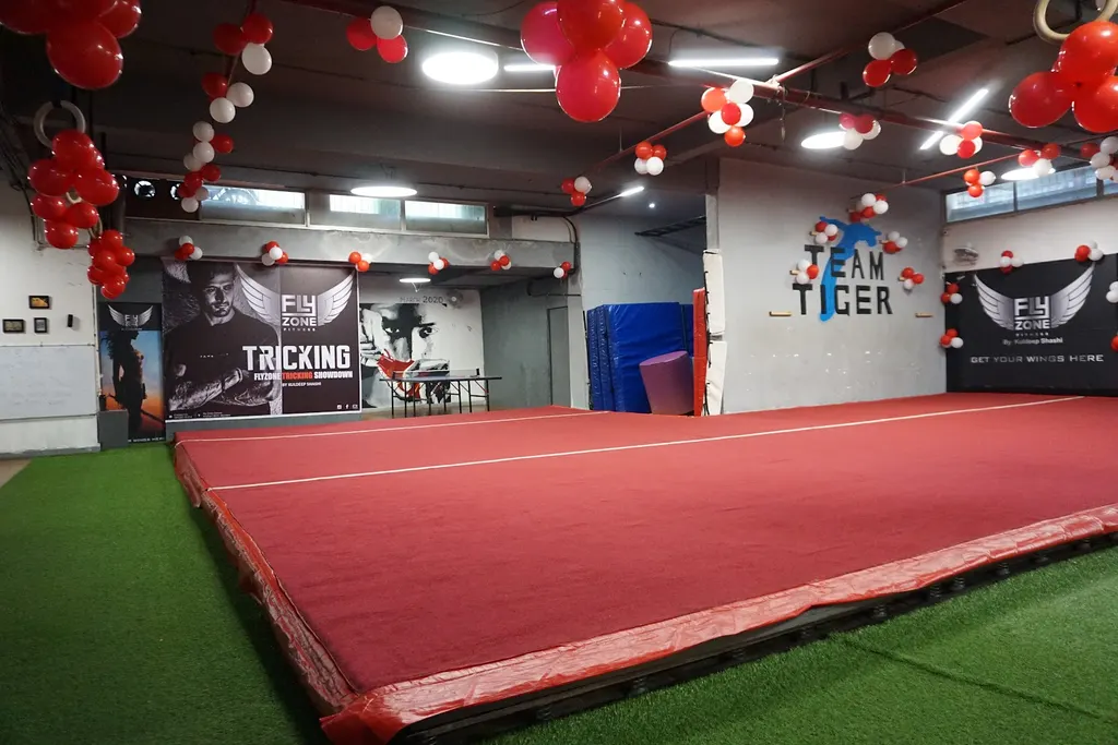 Fly Zone Fitness — Gymnastics in Andheri West