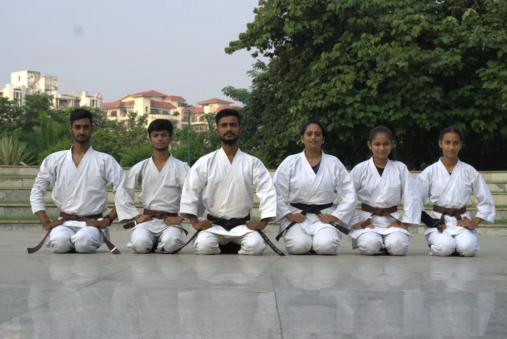 MMA Mix Martial Arts — Martial Arts in Sector 56